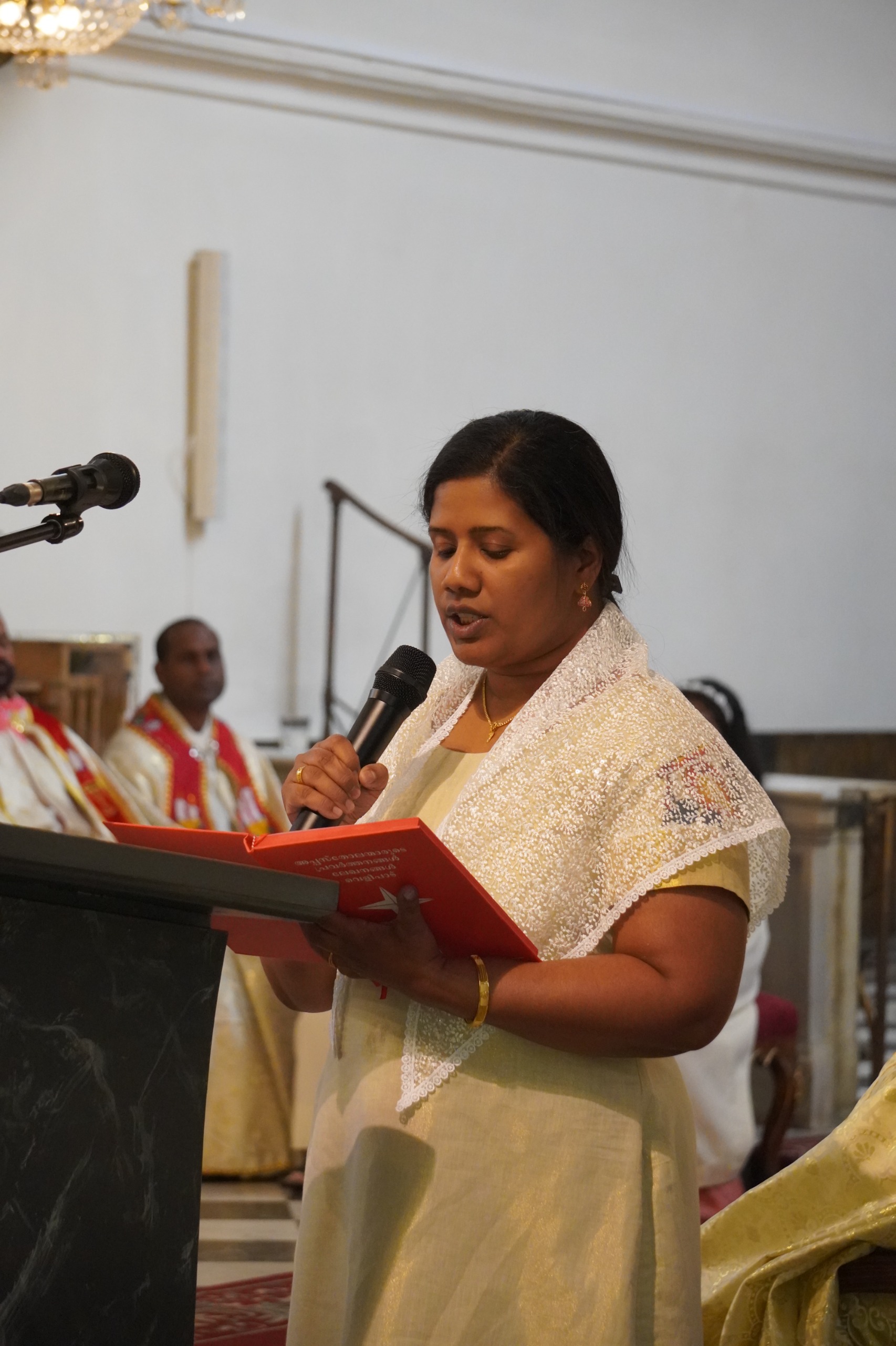 parish fest 2026 (34)